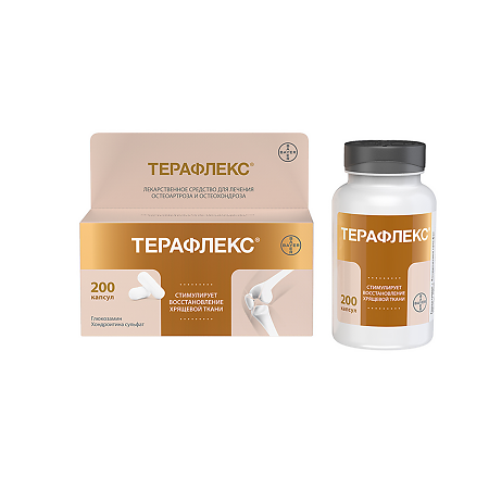 Терафлекс капсулы №200